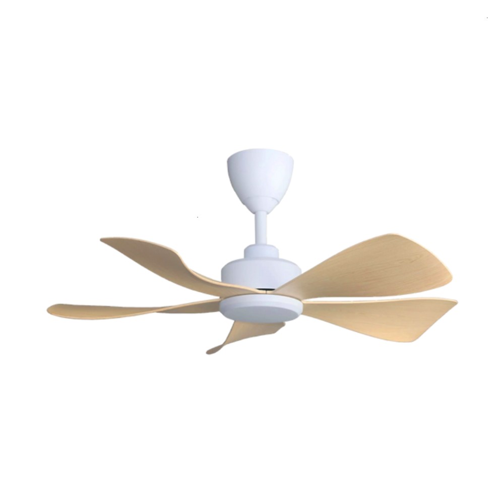 Alpha HANI 5B 36" DC Motor Ceiling Fan with 5 Blades & 8 Speed Remote (Matt White/Maple) | HANI 5B/36