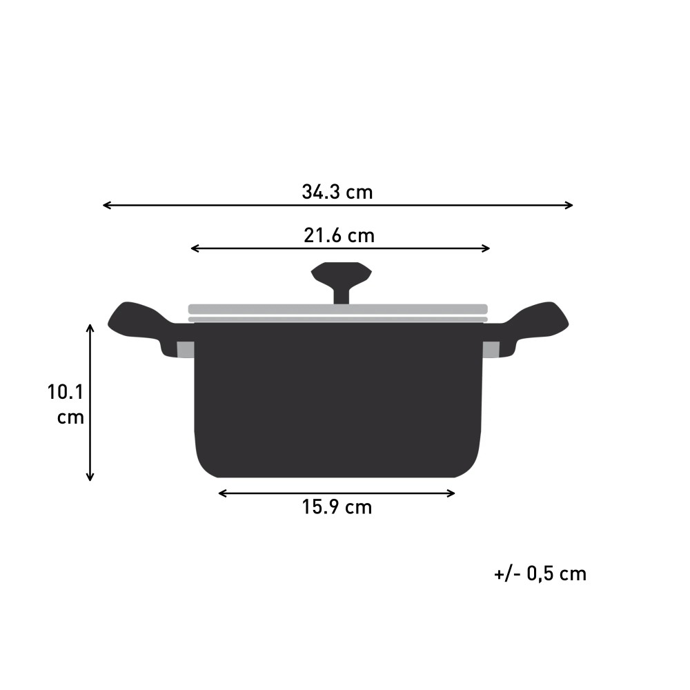 Tefal Starter Stainless Steel Stewpot with Lid 20cm | Deep Frypan | E32544
