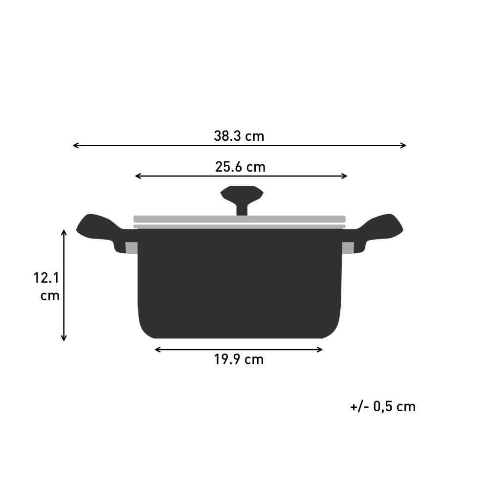 Tefal Starter Stainless Steel Stewpot with Lid 24cm | Deep Frypan | E32546