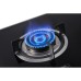 Pensonic 2 Burner Flexible Base Built-In Gas Hob | PGH-424G