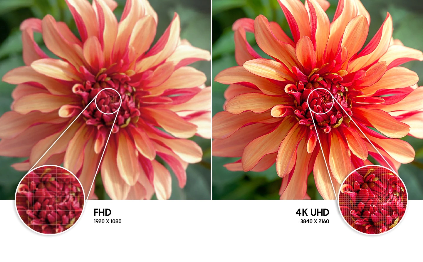 اشعر بواقع دقة 4K UHD